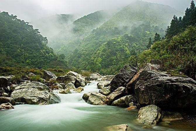 逃离橡子树种植地